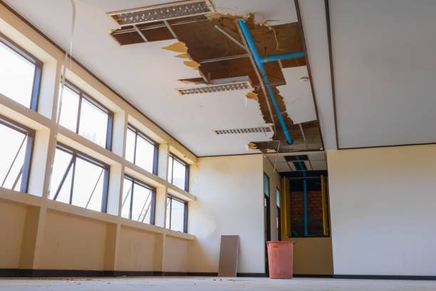 Best 24/7 water damage repair  in Wendover, UT