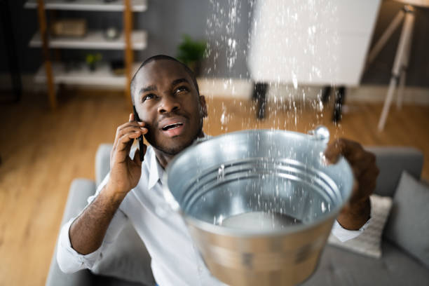 Best Flood restoration services  in Wendover, UT