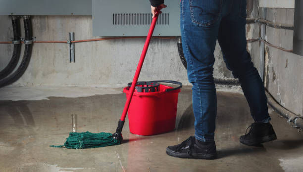 Best 24-hour water damage restoration  in Wendover, UT