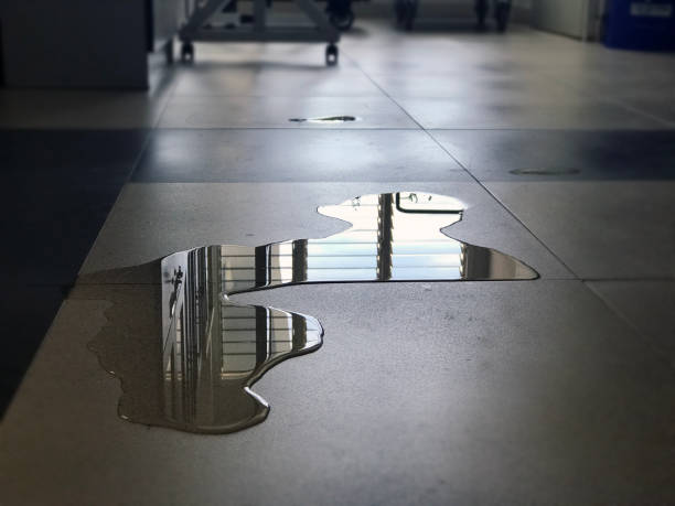 Best Water damage restoration near me  in Wendover, UT