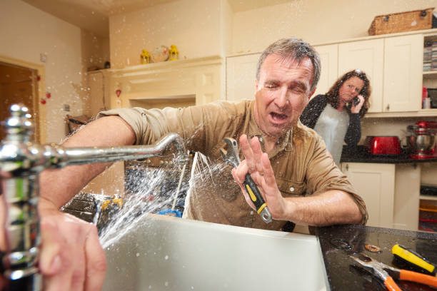 Best Sewage cleanup and water damage restoration  in Wendover, UT